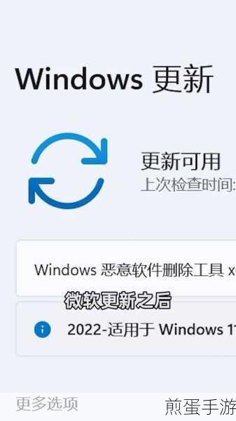 Windows11 浏览器没网怎么解决,热门攻略与实用技巧