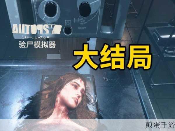 验尸模拟器,揭秘法医世界的惊悚与挑战