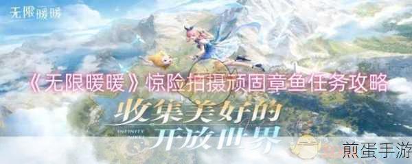 无限暖暖,揭秘偏激章鱼惊险拍摄任务全攻略