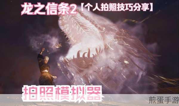 龙之信条2全固定刷龙点位置大揭秘