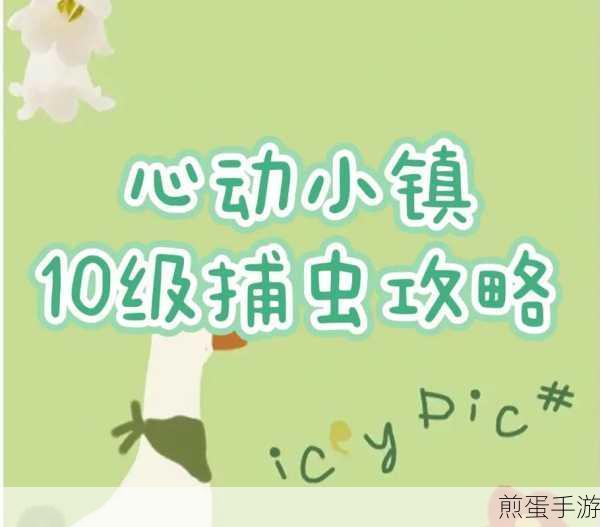 心动小镇新手必看,保姆级攻略助你快速上手