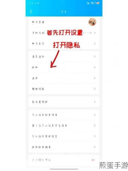苹果手机qq怎么设置iphone在线，掌握这些技巧让你与众不同