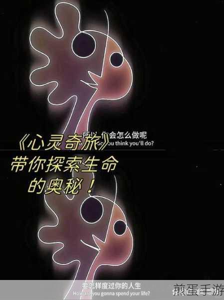 探索生命极限的奇幻之旅,如果一生只有三十岁玩法全揭秘