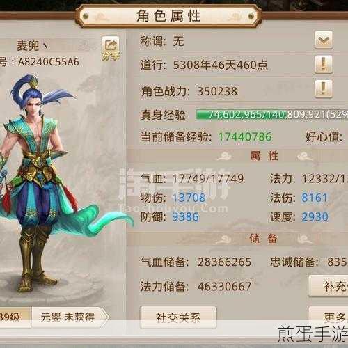 问道手游时装购买攻略,如何精明选购心仪时装