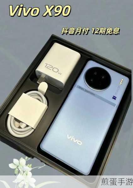 vivox90 多大,探索其尺寸之谜