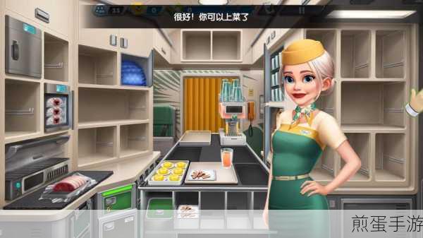 飞机大厨里约热内卢通关秘籍,解锁美食之旅的终极攻略