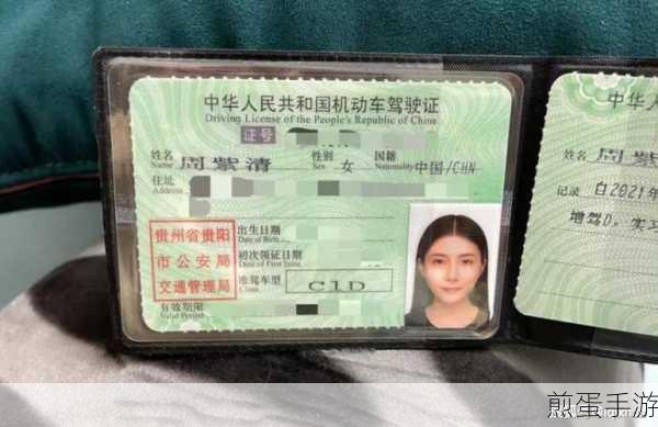 江苏电子驾驶证怎么申请,成为有证一族的新潮流