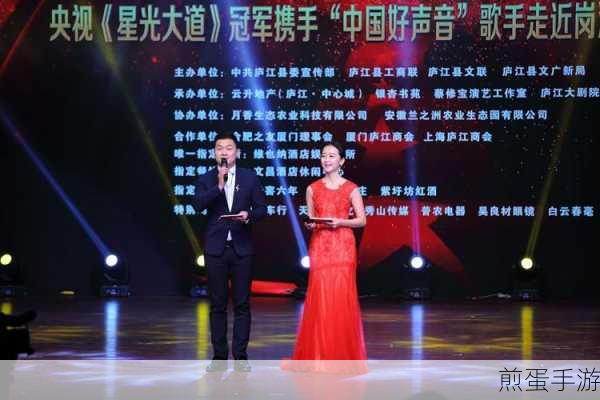 闪亮的你黑粉消除秘籍,重塑魅力舞台
