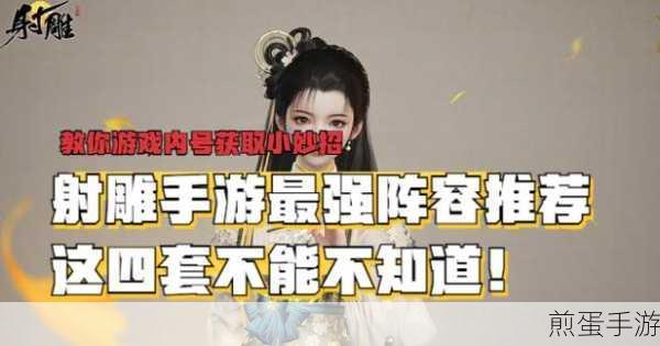 射雕手游阵容搭配全攻略,打造最强侠侍组合