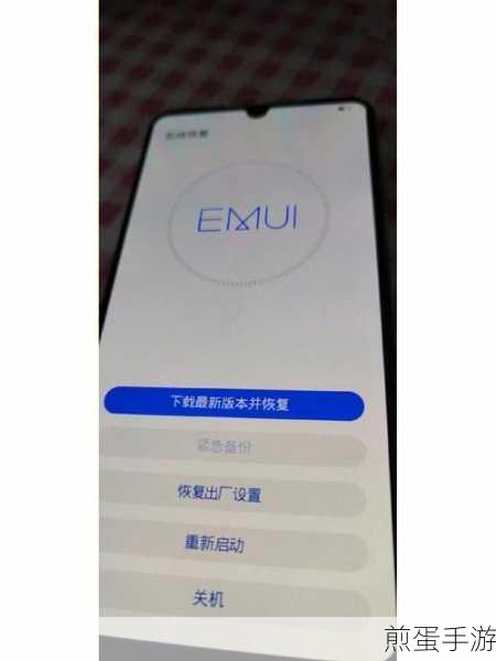 华为 p30 怎么显示流量，掌握这些技巧让流量使用一目了然