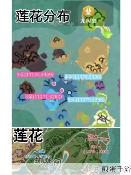创造与魔法，揭秘全图宝箱坐标，探险家的寻宝指南