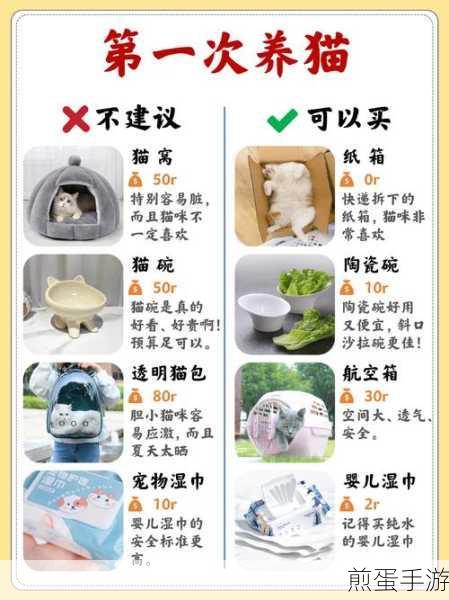 解锁大猫咪小城市成就秘籍,从小猫咪大城市一路进阶