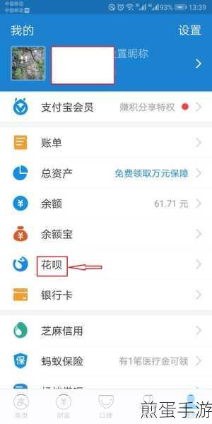 花呗如何设置 20 号还款，成为还款高手的必备秘籍
