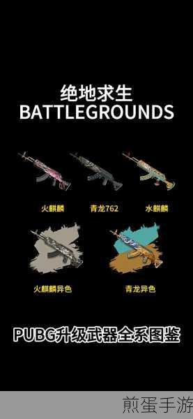 绝地求生强化物品揭秘,解锁战场新利器