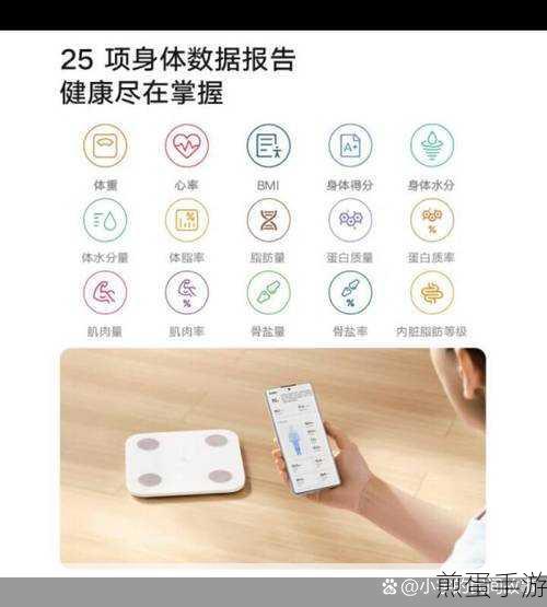 小米电子秤怎么校准,成为精准测量的高手