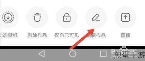 快手发作品怎么不显示音乐,震惊!背后原因大揭秘
