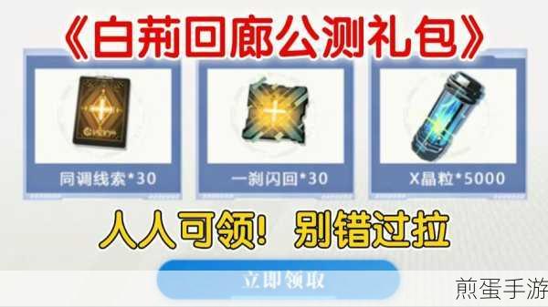 白荆回廊2024最新兑换码大放送,玩家福利不容错过!