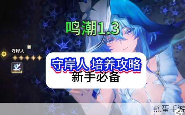 鸣潮守岸人材料速刷攻略,全面解析与高效获取