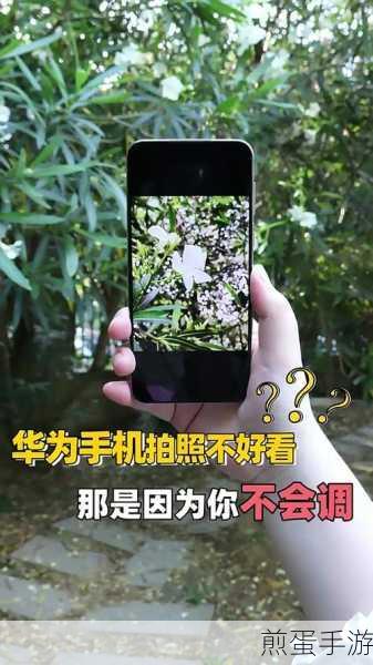 华为nova9 怎么多机位拍摄-华为nova9 多机位模式怎么用,掌握华为 nova9 多机位拍摄技巧,成为摄影达人