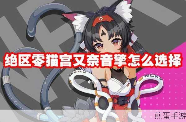绝区零猫宫又奈音擎选择全攻略