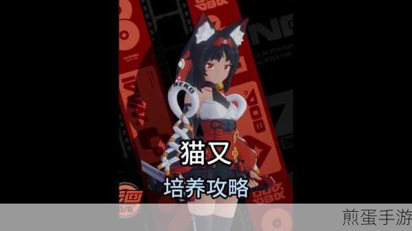绝区零猫又获取全攻略，解锁你的专属萌宠