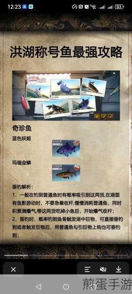 欢乐钓鱼大师陀螺仪开启全攻略