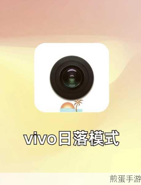 vivoz1 怎么屏蔽骚扰电话，热门手机防骚扰秘籍