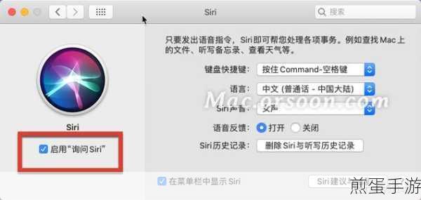 怎么设置 Mac 电脑不在菜单栏中显示 Siri,掌握这些技巧让你的 Mac 更简洁