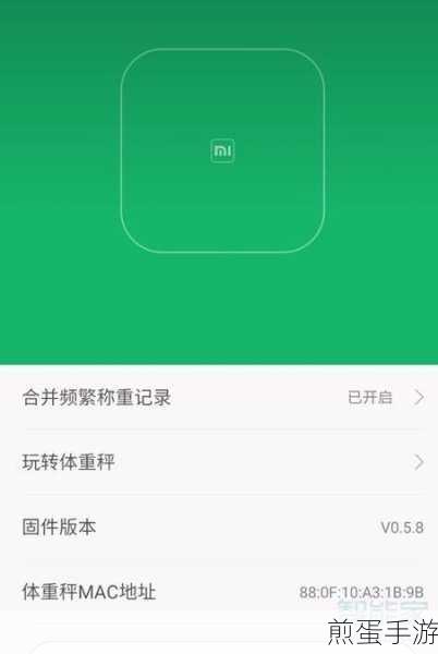 小米秤 2 怎么连接手机,热门科技产品的连接指南