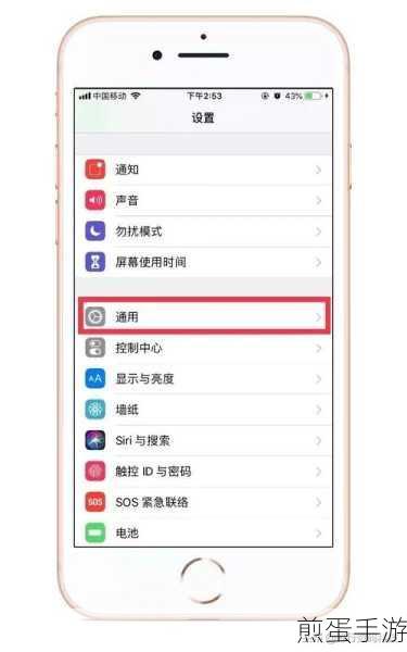 苹果13自动亮度设置方法介绍，成为手机控的必备技能