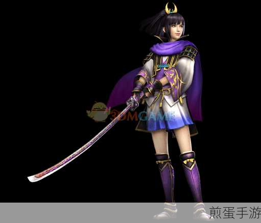 无双大蛇3德川家康图鉴全揭秘,武将风采一览无遗