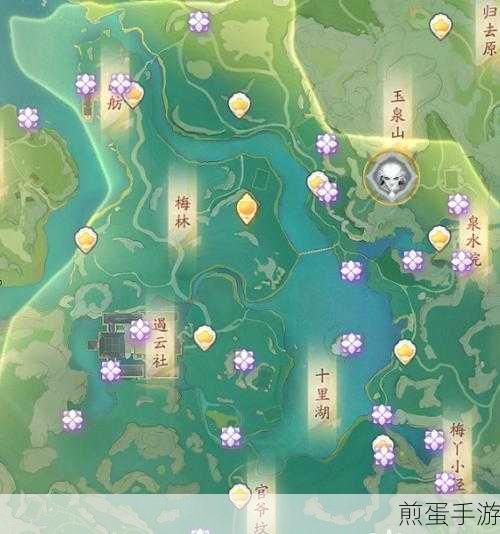 射雕手游梅坞秘藏宝盒全攻略，解锁你的寻宝之旅