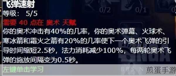 魔兽世界国服奥法攻略,解锁高爆发输出的秘籍