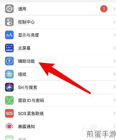iphone11 中来电闪光灯的开启具体方法，你不得不知的手机秘籍