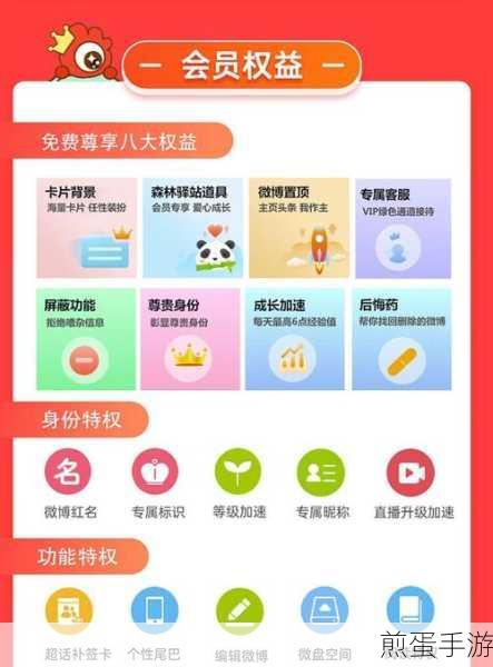 微博冲一个月会员送改名卡吗,引热议的会员福利探索
