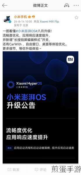 小米手机放大功能在哪,探索其神秘所在成热门话题