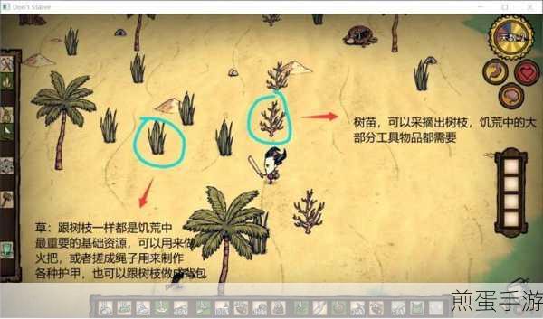 饥荒海难,解锁高阶萌新生存秘籍