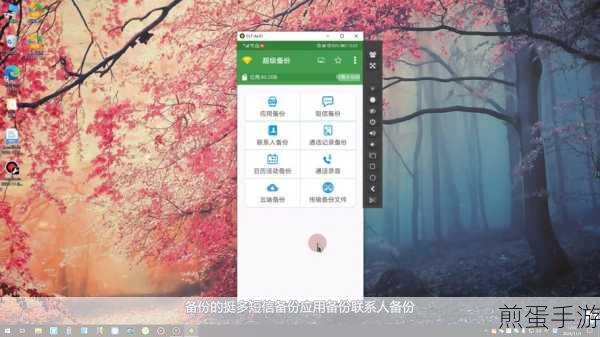 华为云空间能备份应用软件吗,探索云备份的无限可能