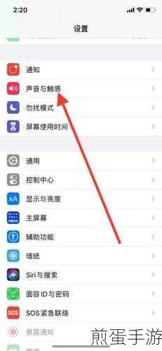 苹果静音模式在哪里设置:掌握苹果手机静音秘籍