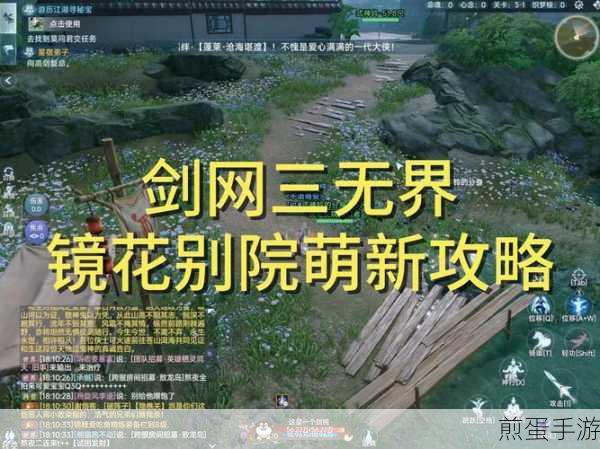 剑网3无界聋哑村任务全攻略，揭秘高效通关秘籍