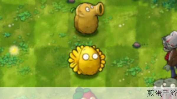 PVZ融合版坚果墙,你的防御小能手