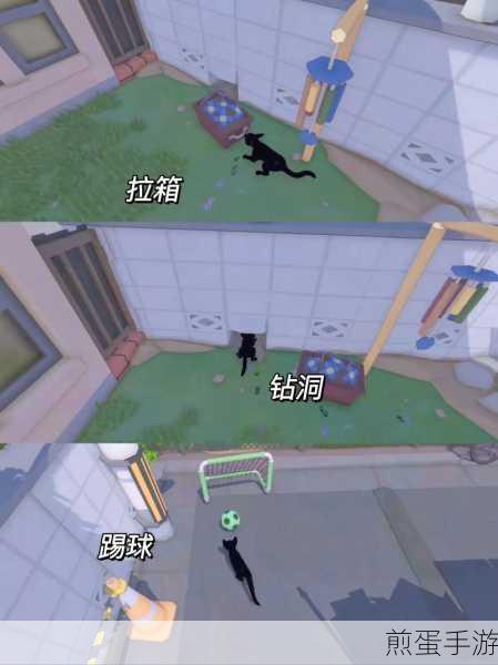小猫咪大城市小恶魔帽收集全攻略