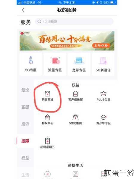 手机版的千影怎么查看自己的爱奇艺天数，探索爱奇艺会员时长的秘密