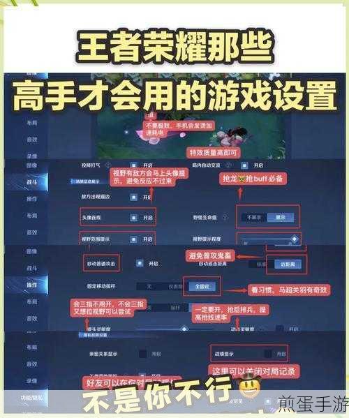 王者荣耀实战技巧,轻松屏蔽队友信号与语音