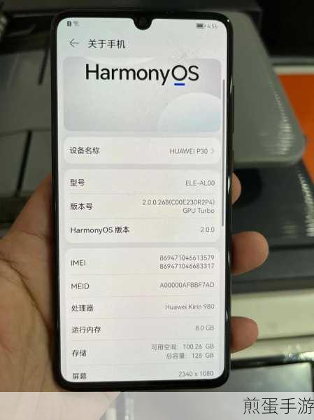 华为 p30 浏览器主页怎么退出空白页,实用技巧大揭秘