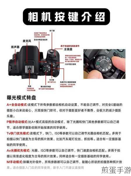 奥林巴斯相机怎么能调出计时拍摄,成为摄影达人的必备秘籍