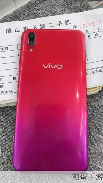 vivo 手机 Y97 支持 Otg 吗，带你探索手机新功能的奥秘
