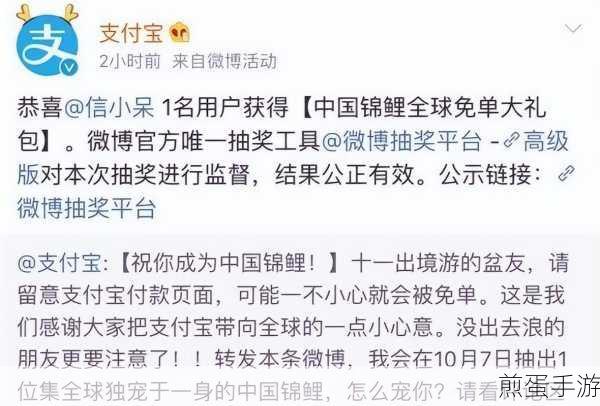 支付宝省点花锦鲤卡，开启省钱新潮流