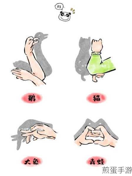 万彩手影大师怎么导出视频,掌握这招,让你的作品惊艳全网