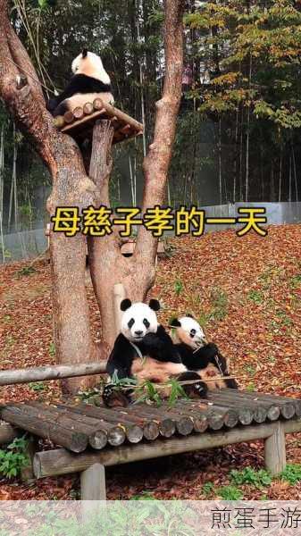 超级达人母慈子孝3,解锁亲情与智慧的双重挑战